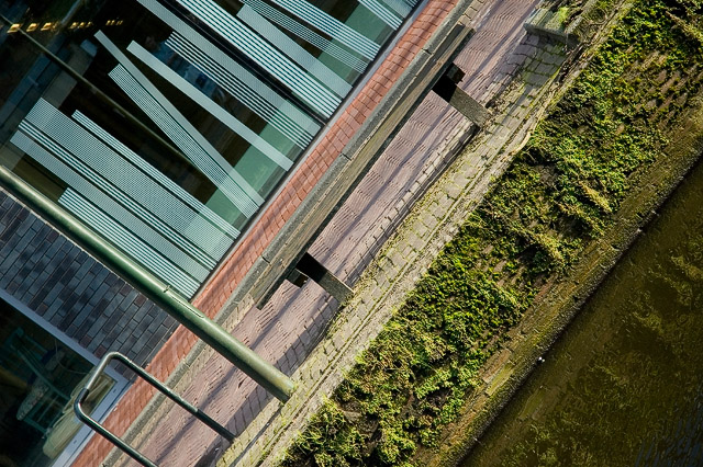 Lines and Colours